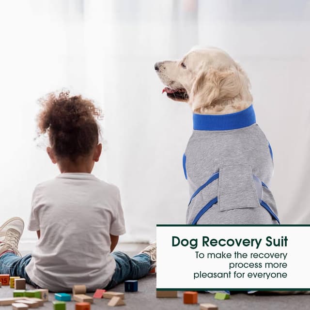 Detalle de Kuoser Dog Surgery Recovery Suit (Grey) – soft dog recovery onesie as an e-collar alternative