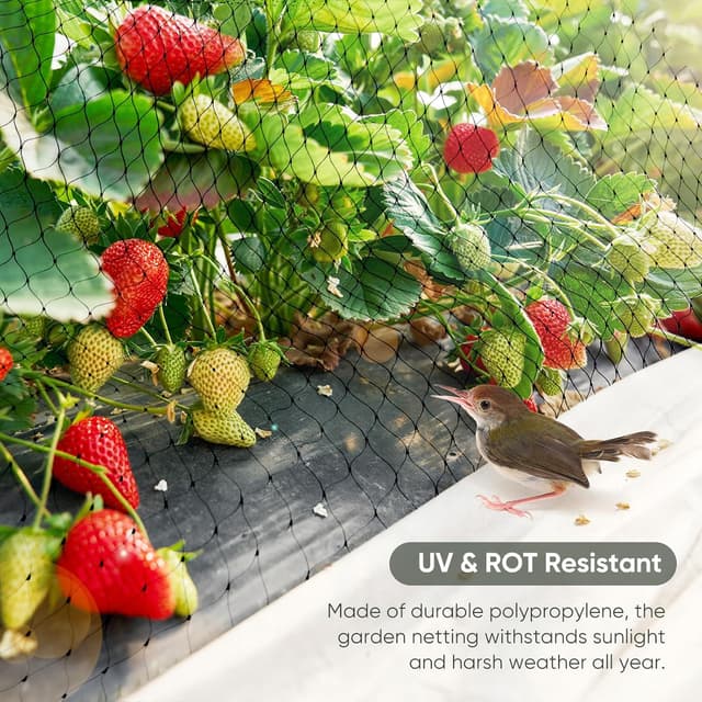 Thumbnail 6 de MAIYADUO Vogelnetz 4 x 5 m