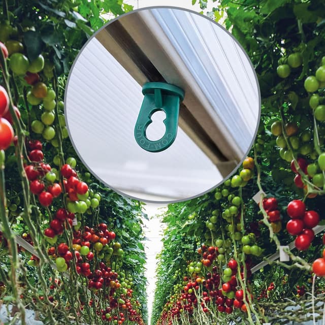 Detalle de COM-FOUR 50 clips de serre verts avec œillets pour rainures 6 à 10 mm