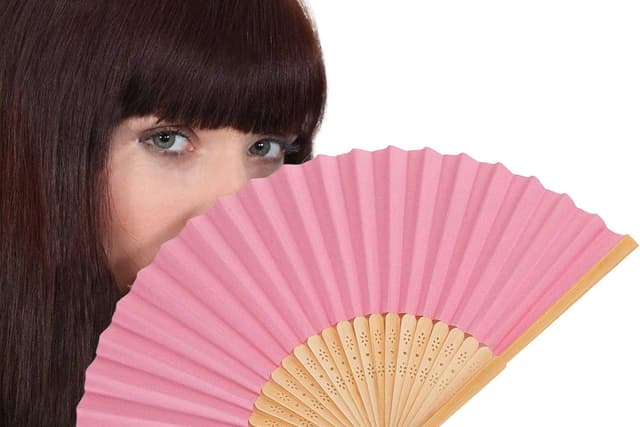 Thumbnail 4 de iZoeL Abanico Plegable Rosa - 12 Piezas para Eventos