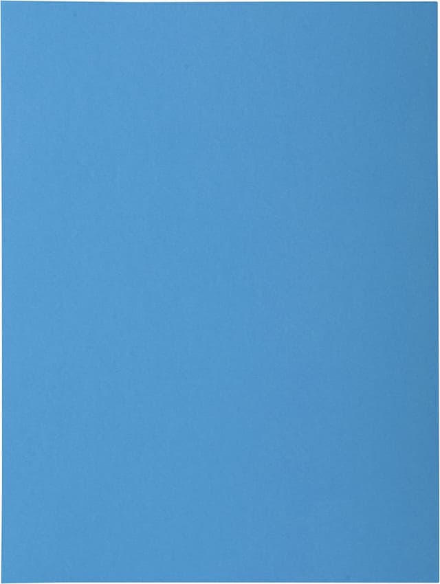 Detalle de EXACOMPTA Chemises ROCK’s A4, 50