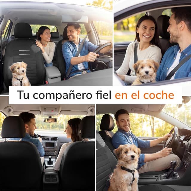 Thumbnail 5 de Upgrade4cars Fundas Asientos Delanteros Negro Versión 2026 4 piezas