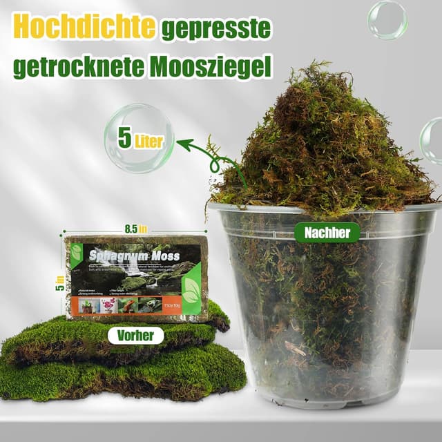 Detalle 2 de Sphagnum Moos 2er Pack für Pflanzen 10 L