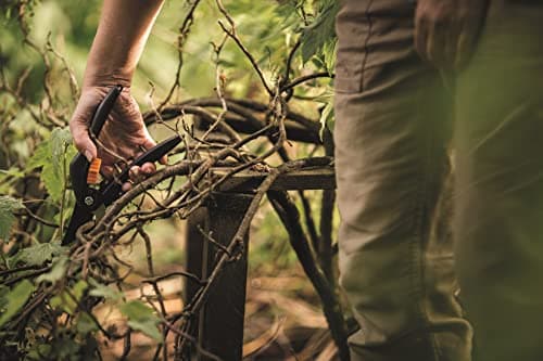 Thumbnail 7 de Fiskars P26 Tijeras de podar 20 cm, corte 2,2 cm ✂