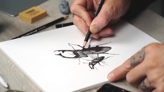 Detalle 2 de Cretacolor Deep Black – Set de dessin noir profond (10 pièces) avec gomme et essuie-papier