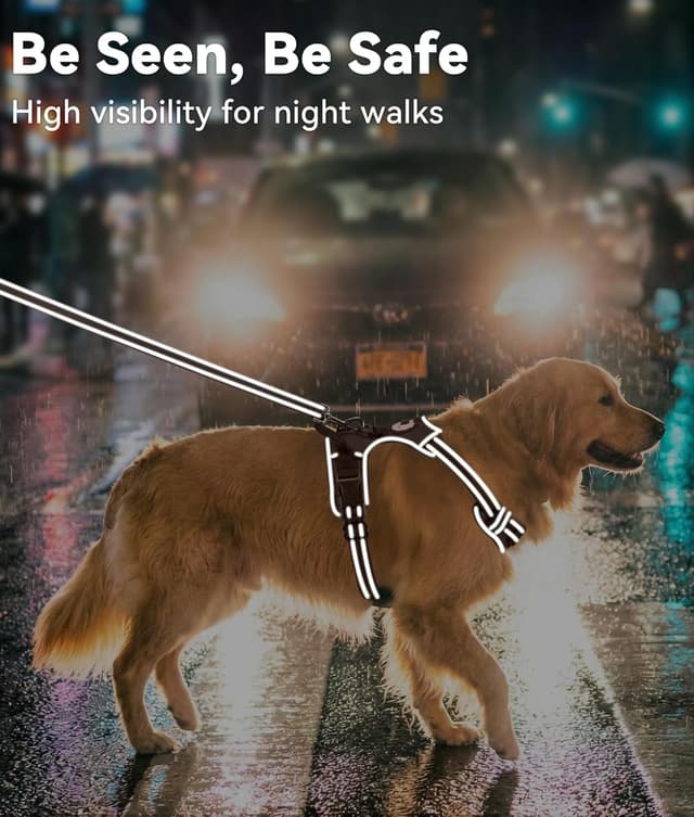 Detalle 2 de Joytale Large No-Pull Dog Harness with 2 Leash Clips, Reflective Straps and Control Handle (Brown, L)