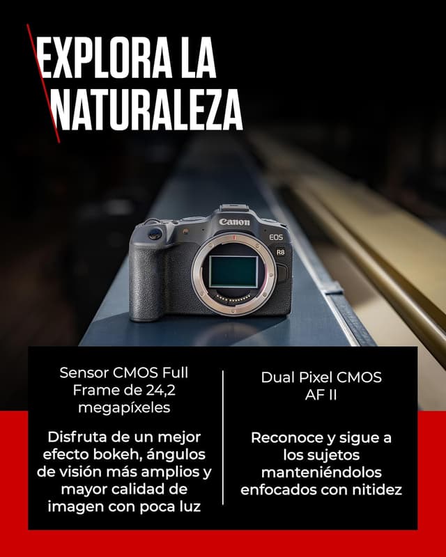 Detalle de Canon EOS R8 Cámara Mirrorless Full Frame 📷 24.2 MP 4K 60fps