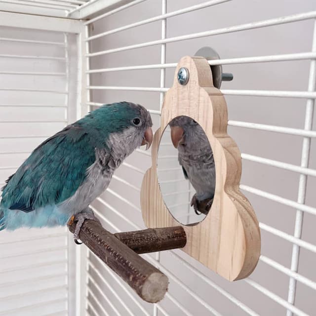 Thumbnail 3 de ZYYRSS Small Bird Mirror Parrot Swing
