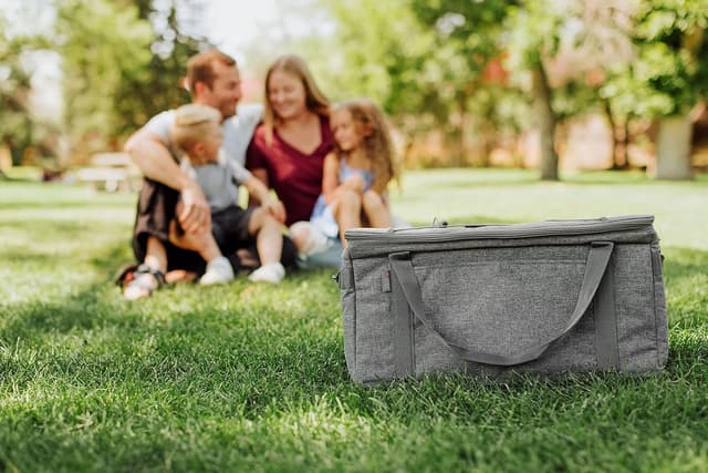 Detalle 2 de Picnic Time NFL 64 Can Collapsible Cooler (Unisex Adult) – Soft-Sided Insulated Tote
