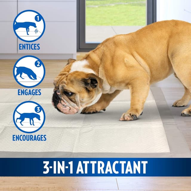 Thumbnail 1 de OUT! Allez ici Coussinets absorbants 53x55 cm