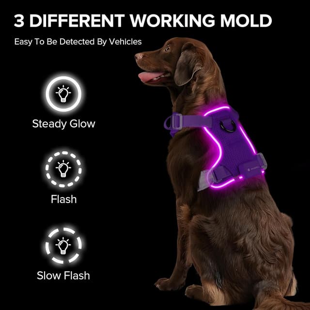 Detalle 2 de Purple XS LED Dog Harness