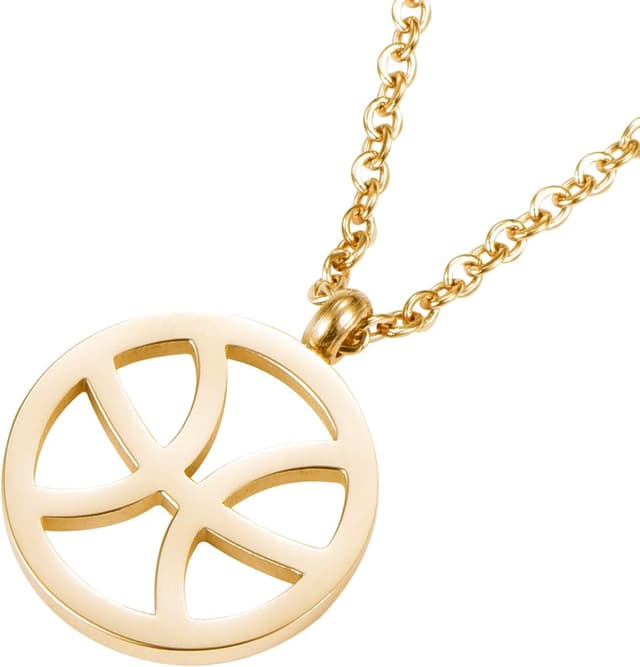 Detalle 2 de Collana zodiacale 46 cm in acciaio inox oro