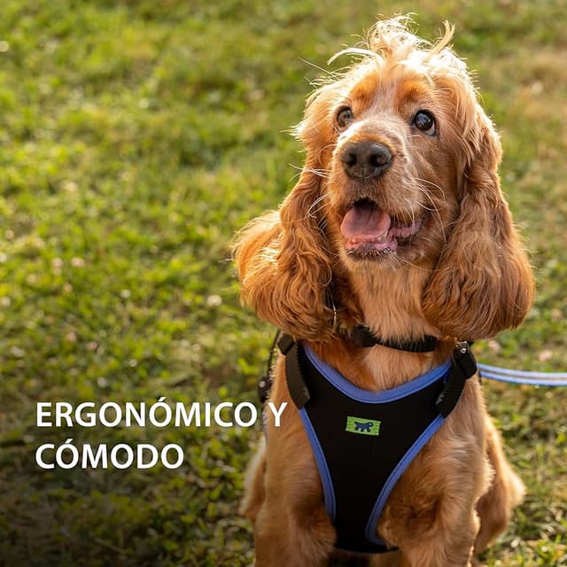 Detalle 2 de Ferplast ERGOCOMFORT Arnés Perro Pequeño 🐶 Ajustable y Acolchado