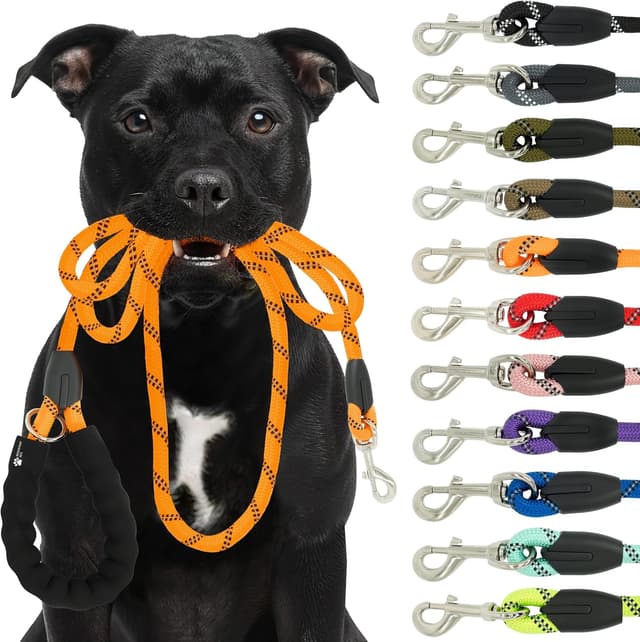 Detalle de Reichstadt Pets Guinzaglio per cani in nylon morbido con impugnatura in EVA e riflettente 1,5 m