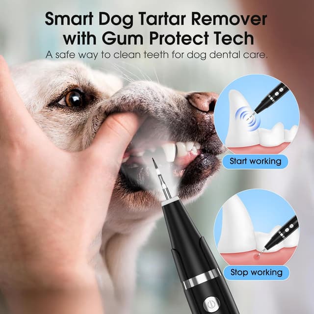 Detalle de HANGSUN Dog Plaque Remover LED for Teeth