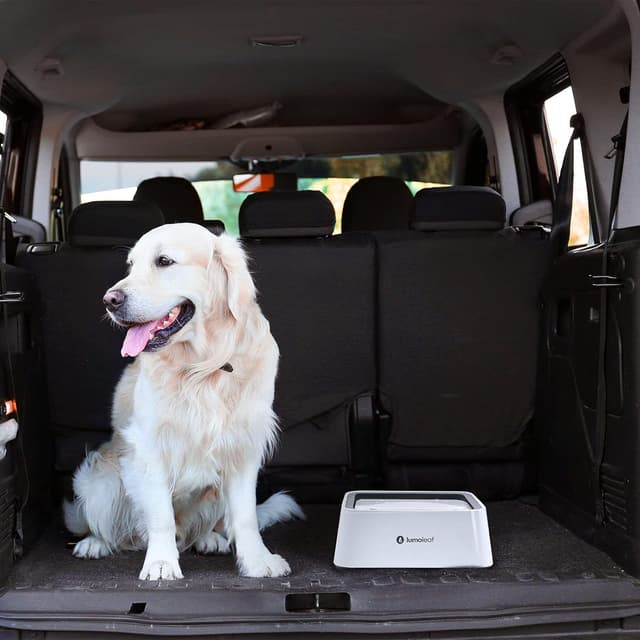 Thumbnail 6 de LumoLeaf Dog Water Bowl (70oz/2L) – non-spill slow-feeder with replacement filter for travel