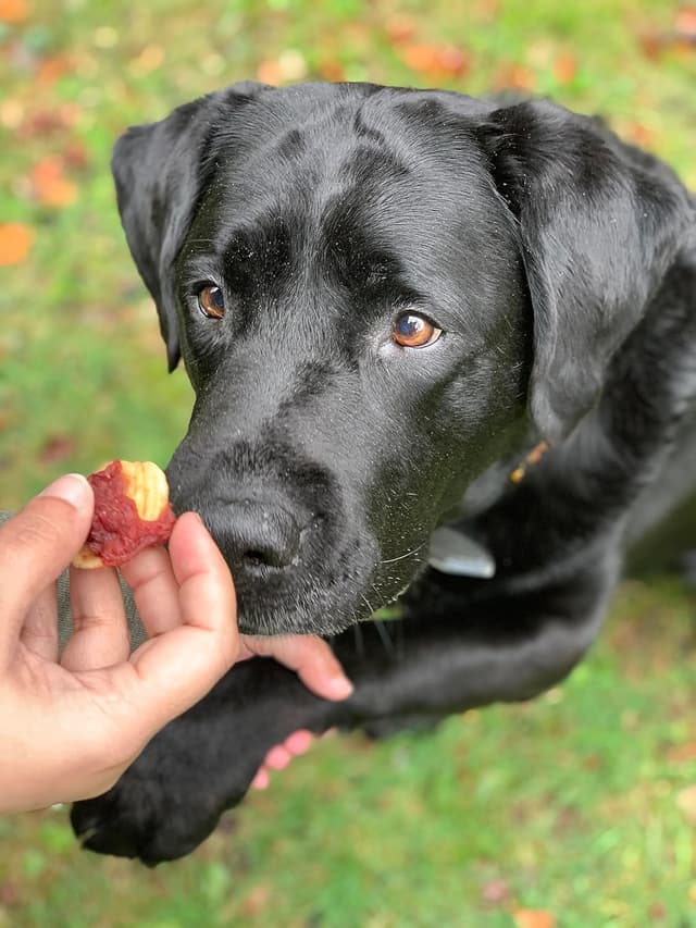 Thumbnail 3 de Croci Happy Farm Kausnack 80 g