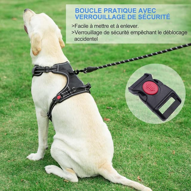 Detalle 2 de haapaw harnais anti-traction pour chien taille moyenne et grande, réglable, tissu Oxford réfléchissant