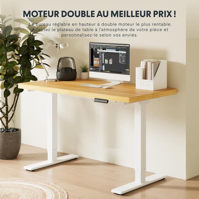 Detalle de FLEXISPOT Bureau assis debout à 2 moteurs réglable en hauteur, cadre acier 100 kg avec panneau mémoire et anti-collision (gris)