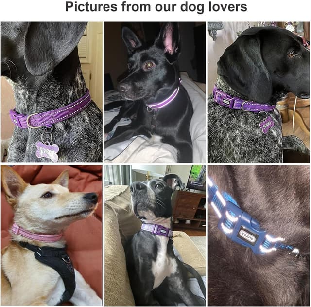 Detalle de Petiry Puppy Collar and Lead Set (Reflective Pink, Soft Neoprene Padded) – XS for Neck 22–29cm