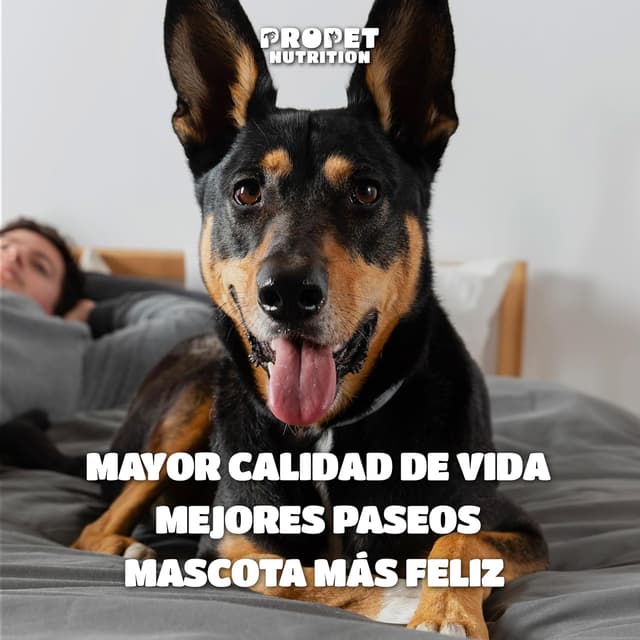 Thumbnail 5 de Condroprotector Perros 120 Masticables