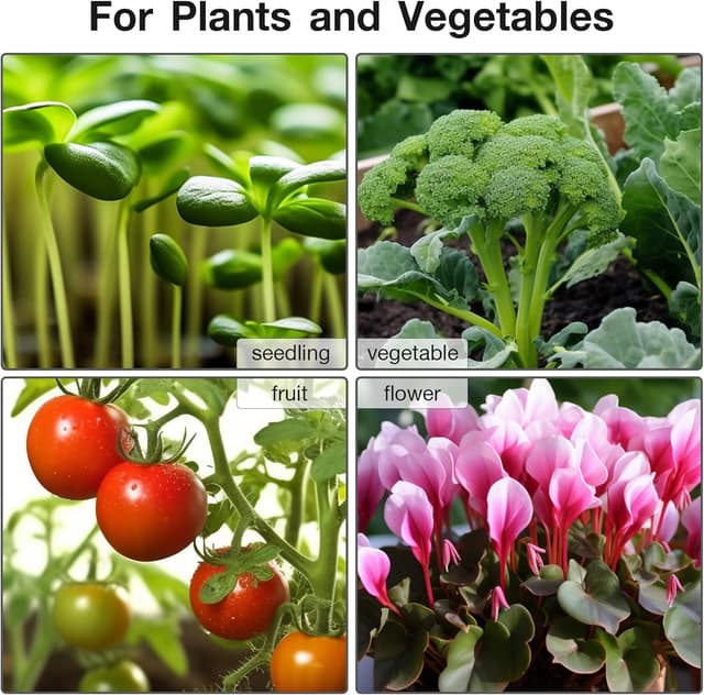 Thumbnail 5 de Mojimdo 50W Heat Mat with Thermostat