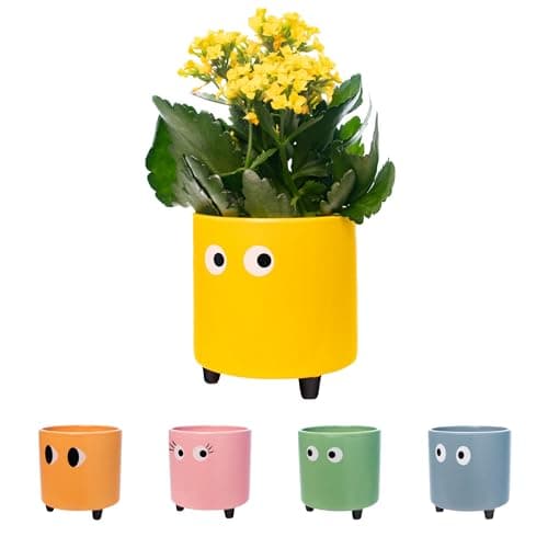 Imagen de Fisura Macetero Original ojos amarillo 13×12,5 cm 🌱 en OfertitasTOP