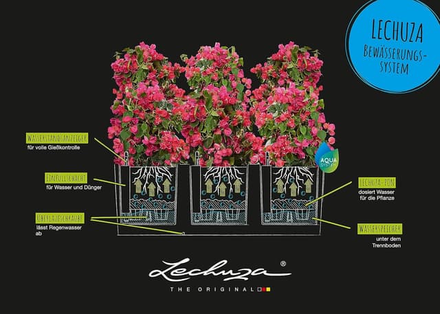 Thumbnail 3 de LECHUZA TRIO Stone 30 graphit schwarz