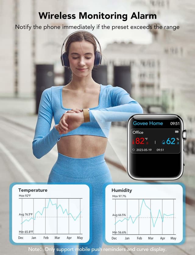 Thumbnail 6 de GoveeLife E-Ink WiFi Thermometer Hygrometer 2‑Year