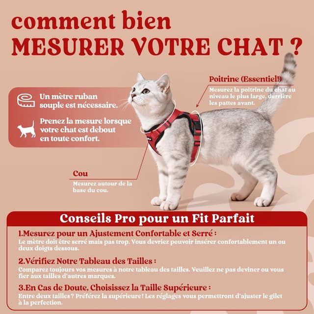 Thumbnail 1 de rabbitgoo Harnais Chat XS rĂ©glable rouge đŸ