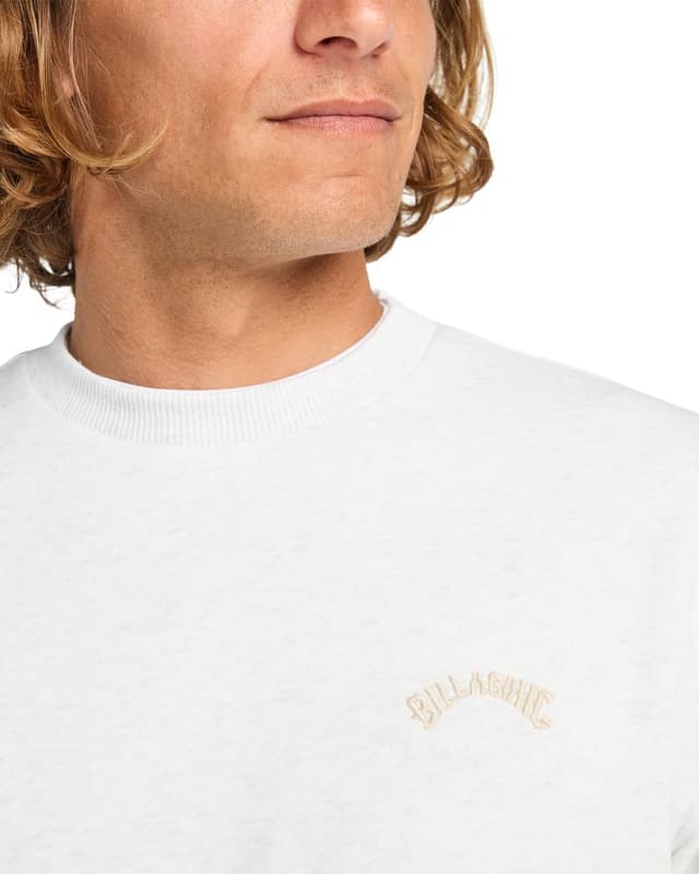Detalle de BILLABONG Arch CR Sweater homme en coton et polyester recyclé (lot de 1)