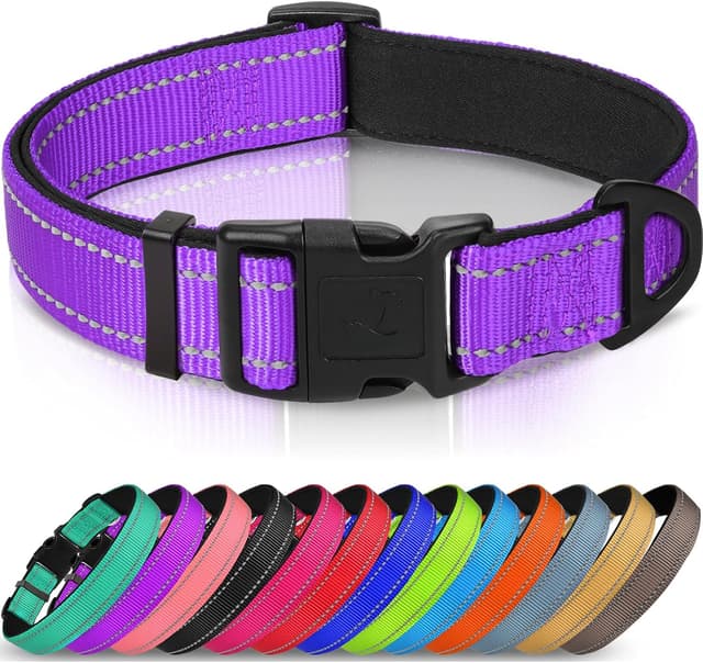 Detalle de Joytale Reflective Dog Collar (Soft Neoprene Padded) – Adjustable Breathable Nylon Collar for Medium Dogs (M), Purple