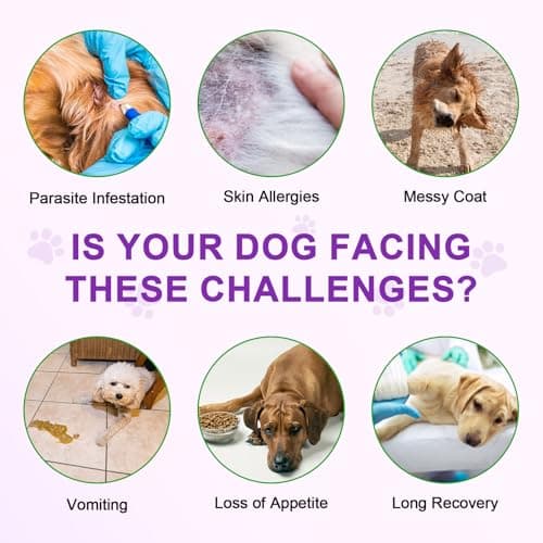 Detalle de MASAIGGE Aperitivos masticables para perros contra la picazón y para la inmunidad (150 unidades)