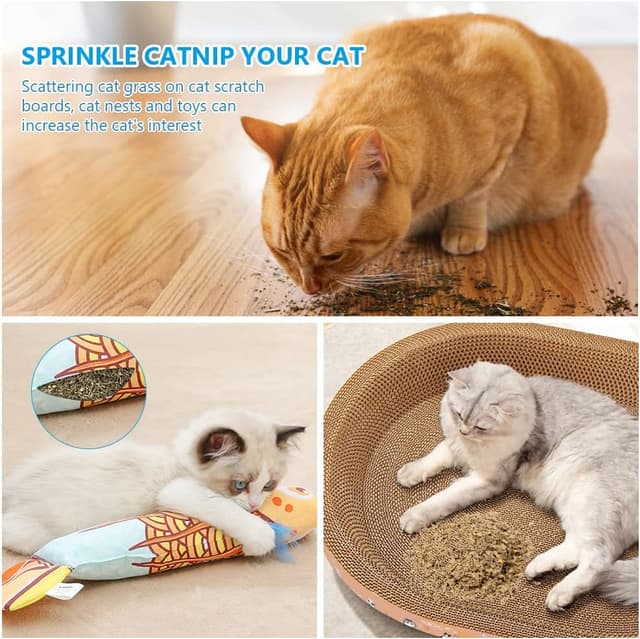 Thumbnail 4 de OSDUE Katzenminze 100 g mit SĂ€ckchen đ±