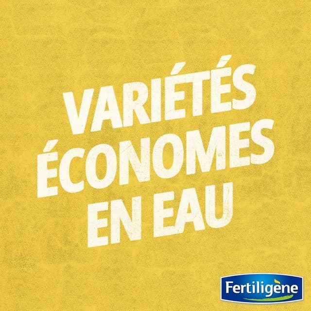 Thumbnail 2 de FERTILIGÈNE Semences Gazon Sec Ensoleillé 875 g