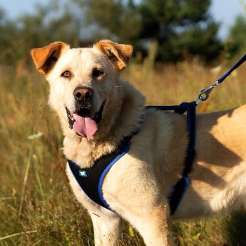 Thumbnail 1 de Ferplast ERGOCOMFORT Arnés Ajustable para Perros Grande 🐕