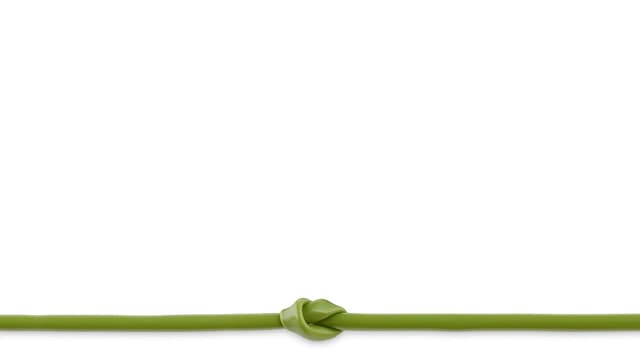 Thumbnail 6 de Relaxdays lien tubulaire pour plantes en caoutchouc creux vert (50 m x 3 mm)