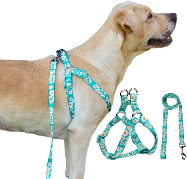 Detalle 2 de Olahibi floral harness and matching 150cm leash set for medium dogs (green daisy) — no-pull, easy wear