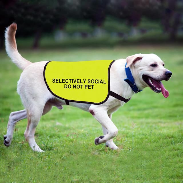 Thumbnail 6 de Zuo Bao Selectively Social Dog Anxiety Vest (Small) – “Do Not Pet” warning jacket for walks