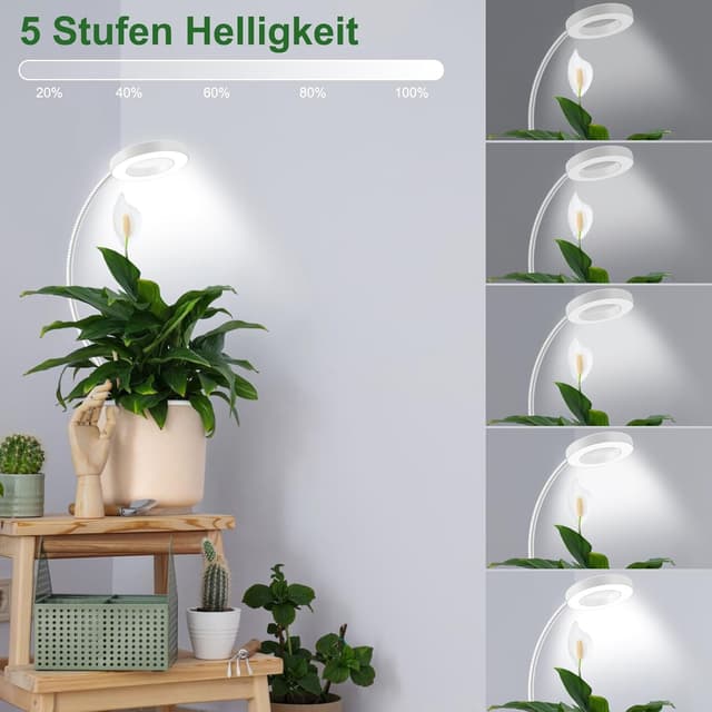 Thumbnail 6 de Pflanzenlampe LED Vollspektrum 6500K