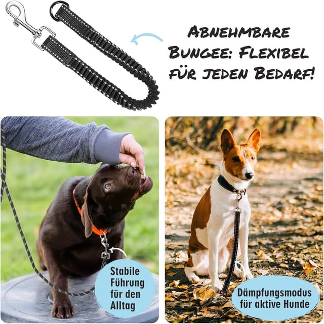 Detalle de Aystkniet Schleppleine 10 m für Hund: mit abnehmbarer elastischer Kordel, gepolstertem Griff & abschließbarem Haken