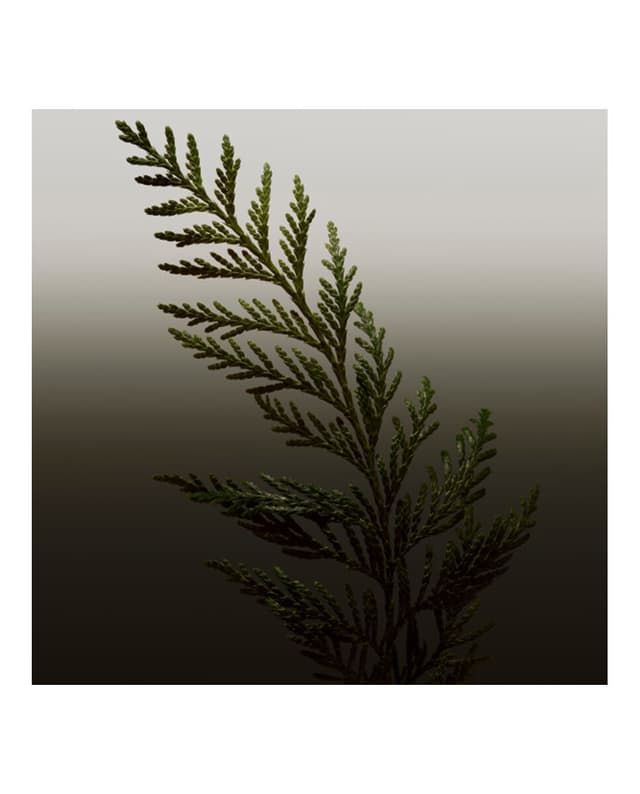 Thumbnail 3 de Burberry Eau de Toilette Hero 200 ml — fragancia masculina