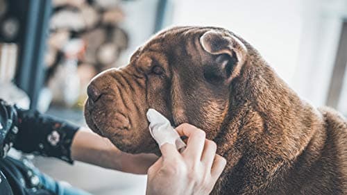 Thumbnail 6 de Vetocanis - Toallitas Limpiadoras Naturales para Mascotas 🐾