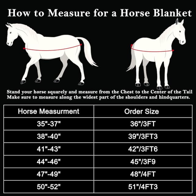 Detalle 2 de Leberna Pony Turnout Rug 1200D Waterproof Lightweight Rain Sheet (No Fill) – Star, 3'0