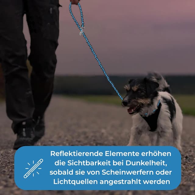 Thumbnail 4 de Golden Pets Hundeleine reflektierend 2 m 🐕