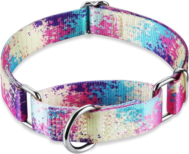 Thumbnail 1 de Dazzber Martingale Collar 2.5cm Wide