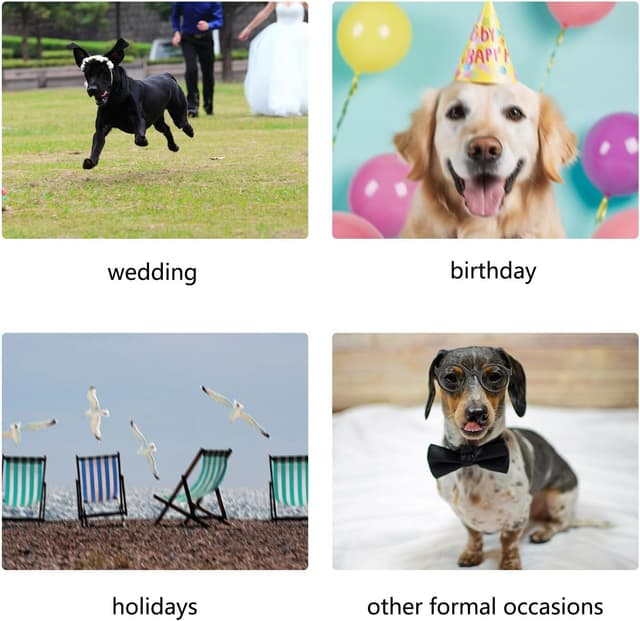 Detalle de MAMORE dog bandana collar (plaid adjustable, washable) – red & white, small