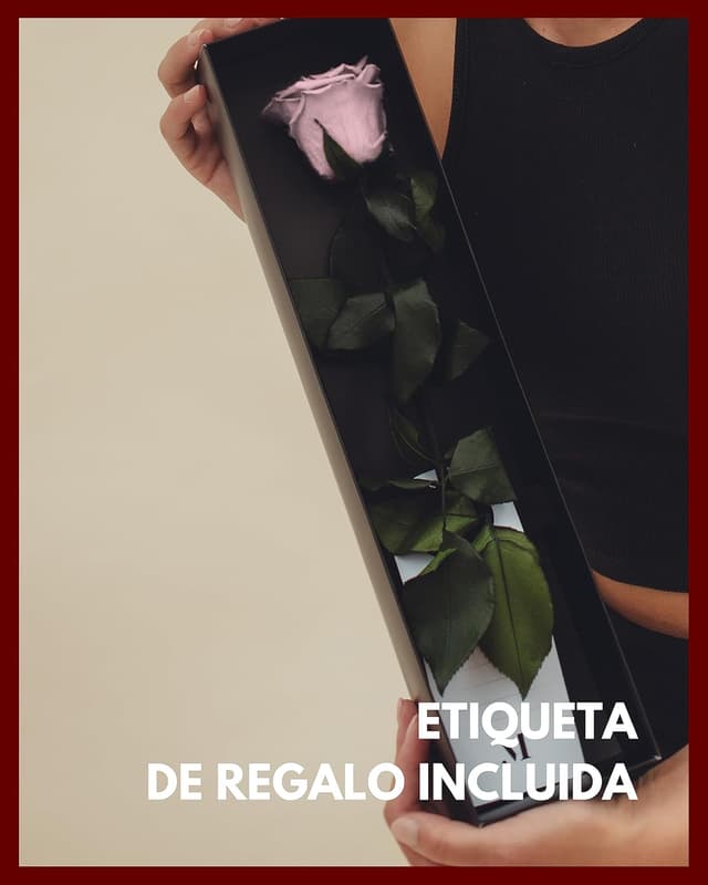 Thumbnail 4 de Mia Milano Infinity Rose Rosa en Caja de Regalo 🌹