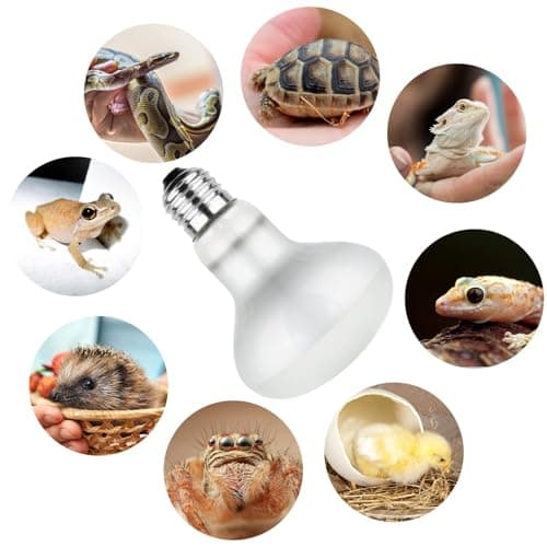 Thumbnail 6 de Adiwo Lampe Chauffante 50W pour tortue