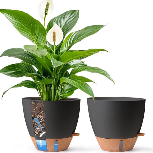 Detalle de T4U T4U 2er Set selbstbewässernder Blumentopf 30 cm